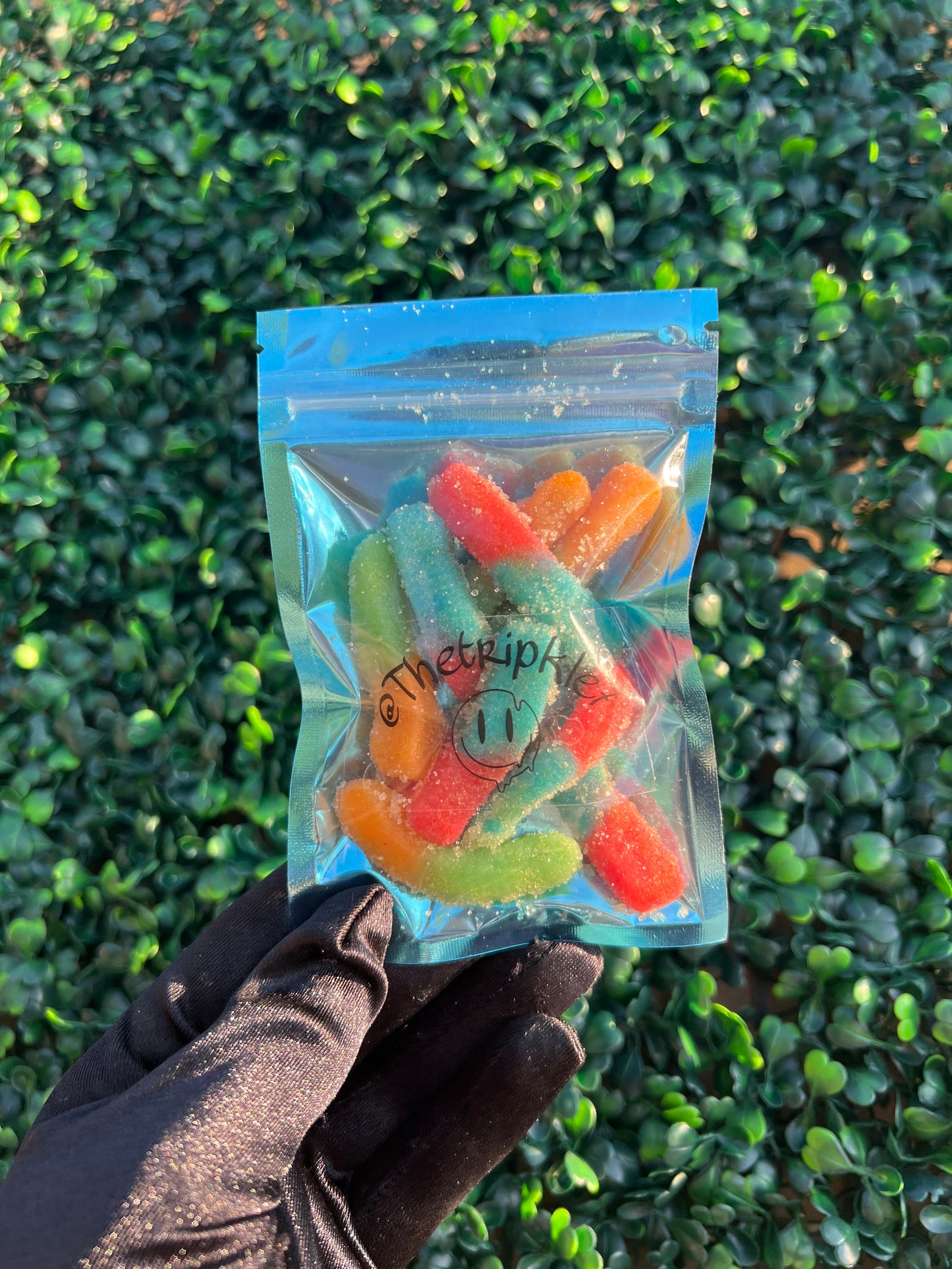 Gummy Wormz